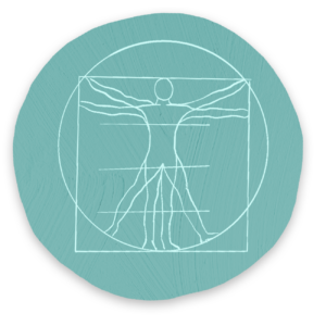 Yoga Anatomy Course (Vertiefung, ENG)